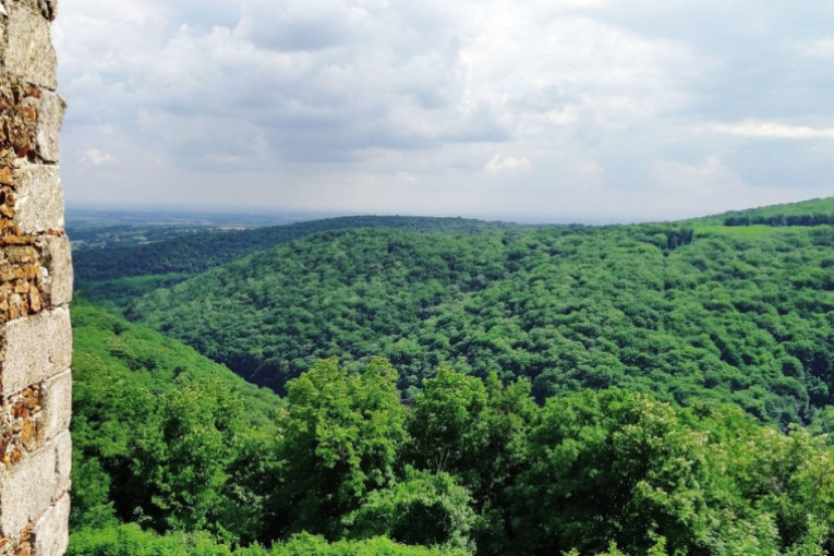 Oaza zdravlja i lepote u srcu Fruške gore: Banja Vrdnik postala najtraženija destinacija u Srbiji!