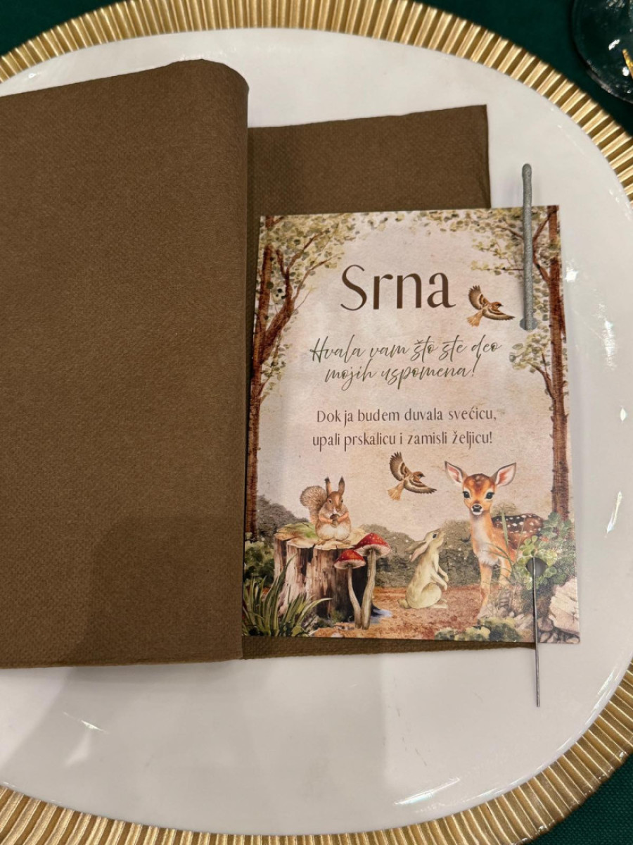 Lazići napravili gala slavlje za ćerkin 1. rođendan: Para nisu žalili, pogledajte dekoraciju (FOTO)