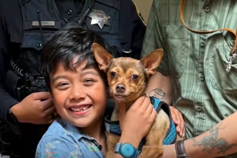 Heroj na četiri noge: Kako je odani pas spasao baku (86) koja je pala i povredila se (VIDEO)