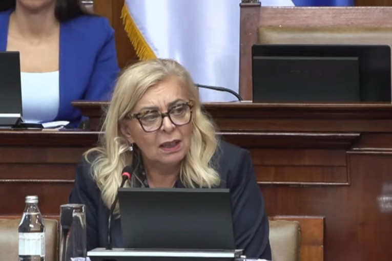 Vučević o zaključku Anketne komisije o padu nadstrešnice: Ni grobovi im nisu sveti! Pobediće Srbija lopove i lažove