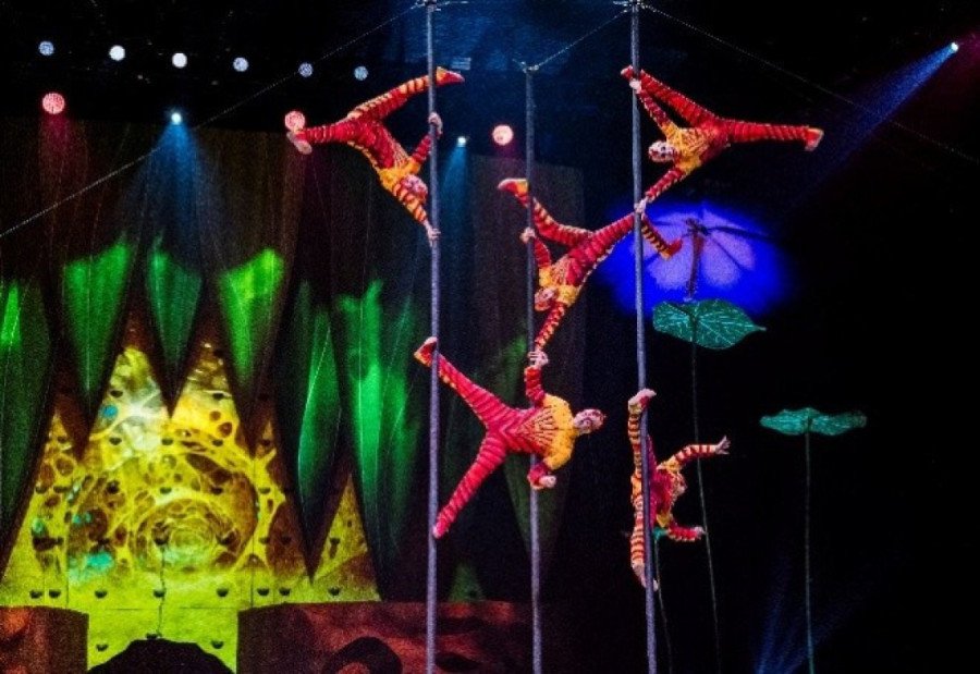Ulaznice za najveću svetsku atrakciju Cirque du Soleil i predstavu „OVO“ od danas u prodaji