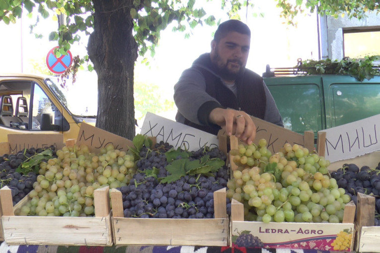 Kilogram grožđa na tezgi 200 dinara, domaće vino 400 po litru: Srpska Toskana ovog vikedna slavi - na hiljade ljudi dolazi u Topolu (FOTO)