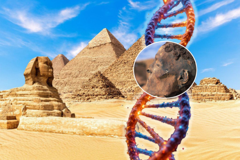 Čula se jeziva škripa: Mislili su da je kuća ukleta, a onda je iza zida izvirilo nešto sasvim drugo (VIDEO)