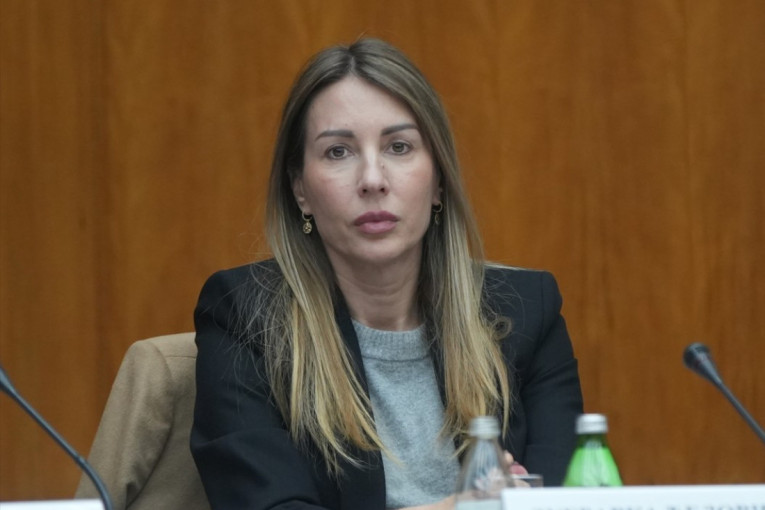 "Podrška Srbiji u izgradnji alternativnih pravaca snabdevanja gasom" Ministarka Đedović Handanović razgovarala sa ambasadorom EU