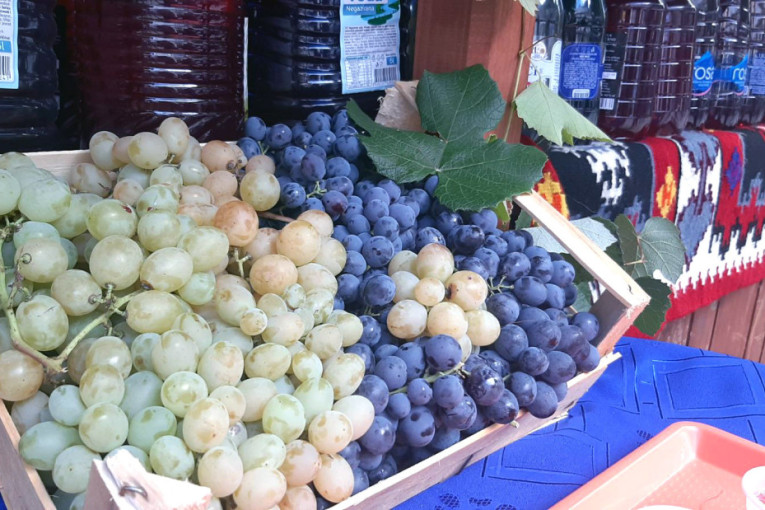 Kilogram grožđa na tezgi 200 dinara, domaće vino 400 po litru: Srpska Toskana ovog vikedna slavi - na hiljade ljudi dolazi u Topolu (FOTO)