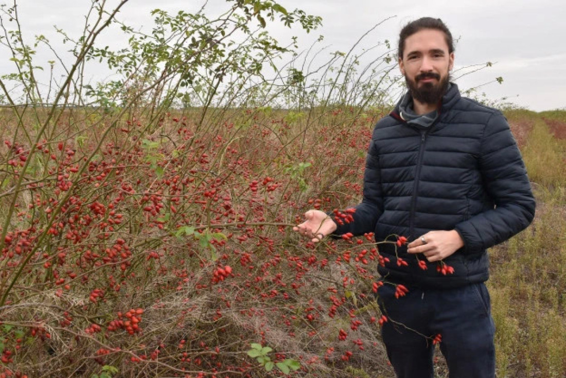 Ovaj sektor razbija: Narodna banka dala parametre u milijardama