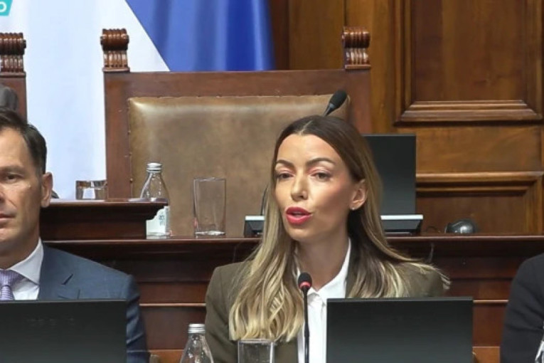 Ministarka Mesarović odgovorila Novakoviću: Bulevar Evrope je pokraden, a hiljade ljudi završilo bez posla!