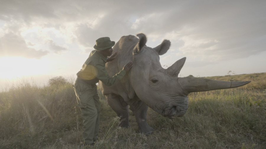 "U Srbiji me oduševio ajvar, sada ga i sama pravim": Ejmi Vitale je žena koja menja svet, a njen objektiv i u tami nađe svetlo (FOTO)