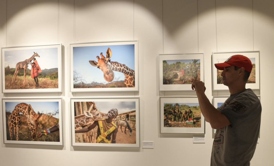 "U Srbiji me oduševio ajvar, sada ga i sama pravim": Ejmi Vitale je žena koja menja svet, a njen objektiv i u tami nađe svetlo (FOTO)