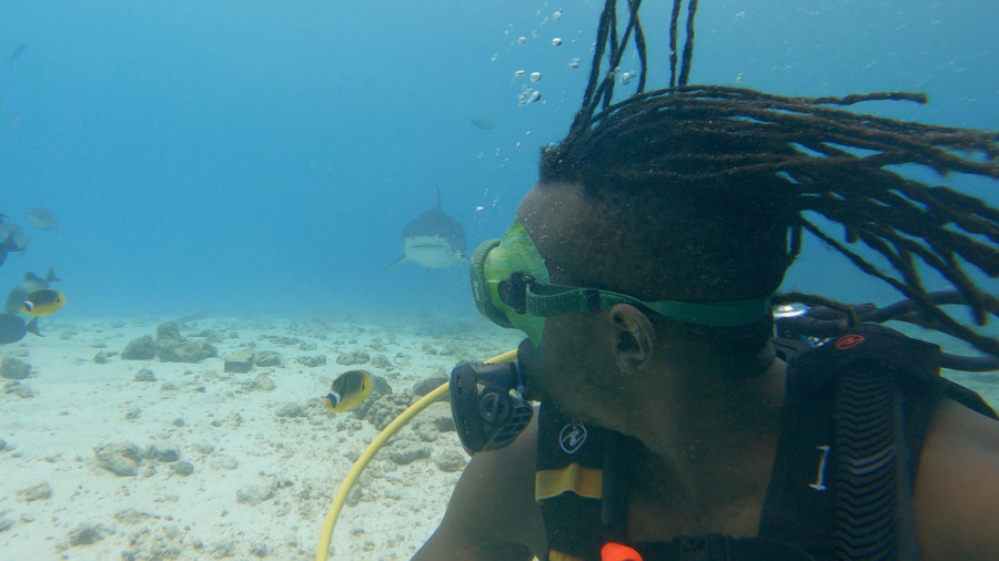 Plaši me svet bez ajkula: Genetičar Gibs Kuguru istražuje fascinantne predatore starije od drveća, a evo ko je kriv za njihov loš glas