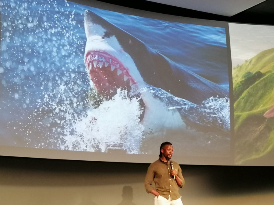 Plaši me svet bez ajkula: Genetičar Gibs Kuguru istražuje fascinantne predatore starije od drveća, a evo ko je kriv za njihov loš glas