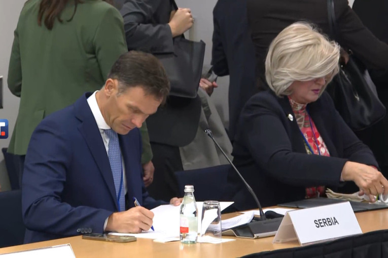 Mali: Srbija se drži dobro u uslovima globalnih dešavanja, dobili smo pohvale