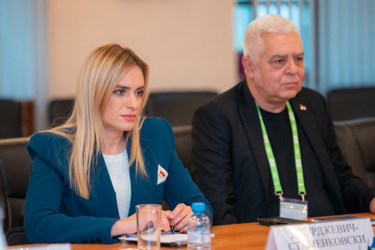 Đurđević Stamenkovski: Odnosi Srbije i Rusije zasnovani na istorijskoj povezanosti