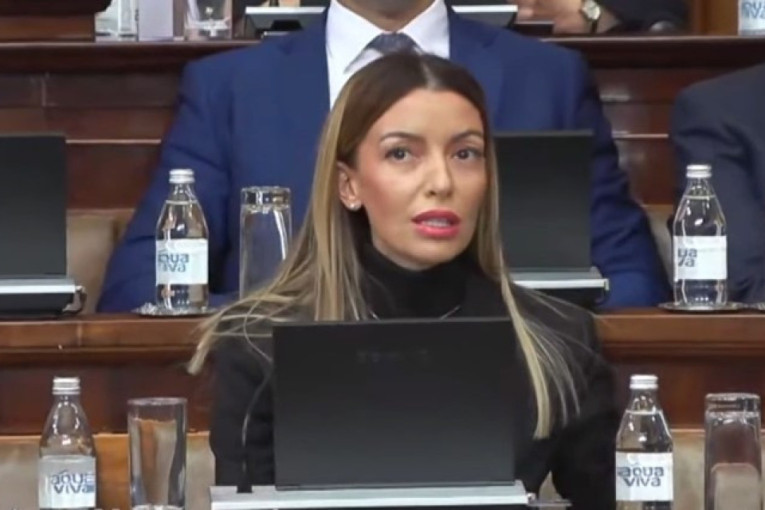 Mesarović očitala lekciju tajkunu: "Đilase, ti si lažov i lopov, i to odavno nema potrebe da se dokazuje!"