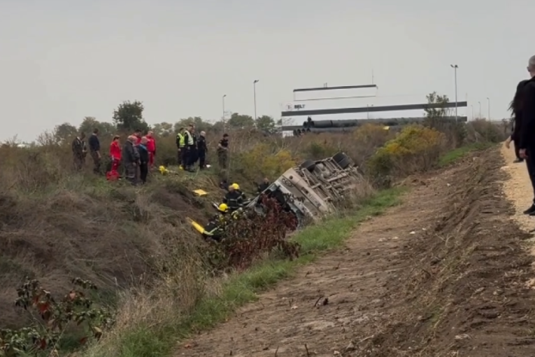 Dačić: Zaplenjeno 15 kilograma marihuane, uhapšena jedna osoba