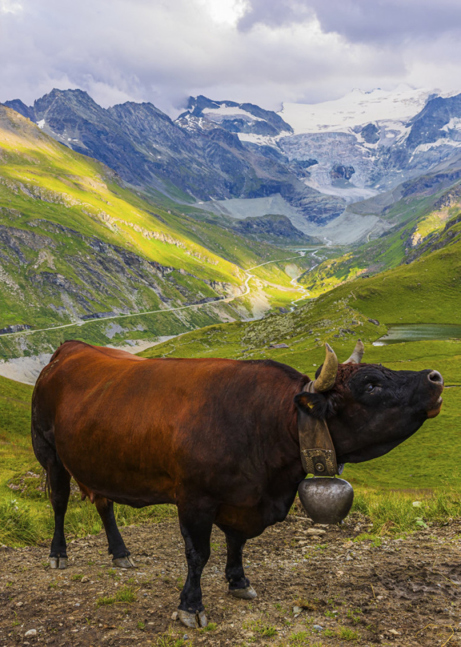 Tajanstvena tradicija idiličnog alpskog mesta: Selo u kojem niko ne želi da načne svoj komad sira (FOTO)