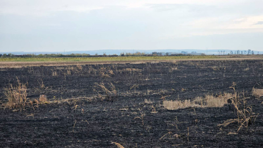 Spalite strnjiku - izgubili ste subvencije! Ministarstvo pokrenulo stroge kontrole