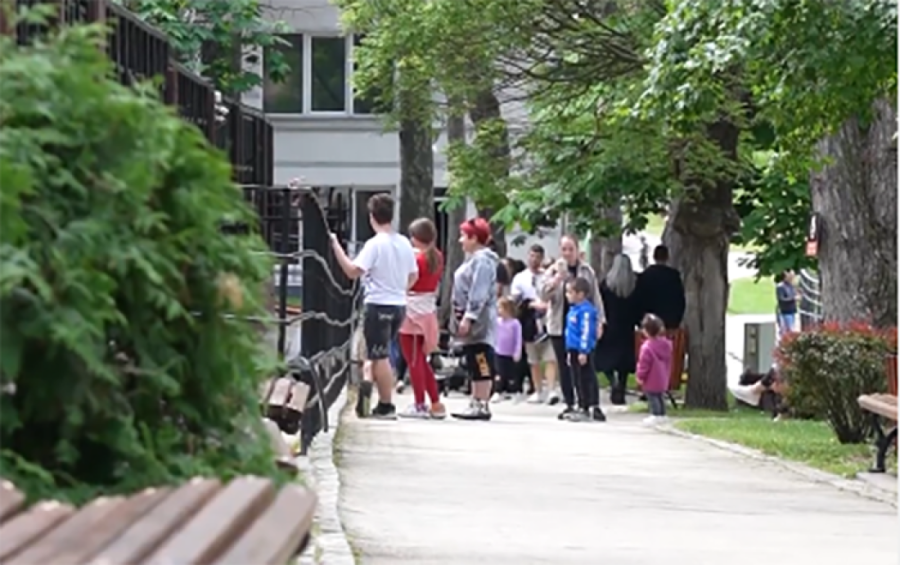 Porodica Radosavljević prevarila vreme: Kod njih maline i kupine rađaju do Božića!