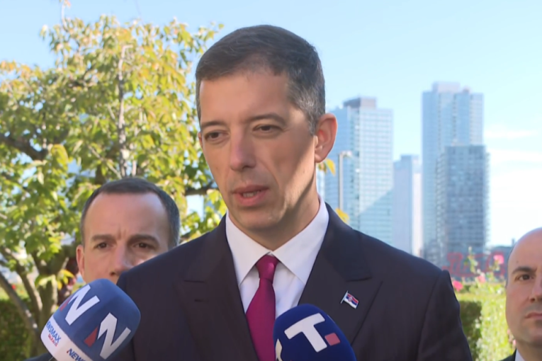 Đurić: Dali smo sve od sebe da se na sednici Saveta bezbednosti UN čuje vapaj srpskog naroda