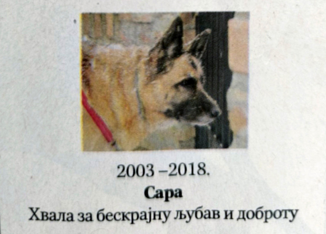 U novinama osvanule "čitulje" za kućne ljubimce! Poslednji pozdrav za Megi, Mimu, Saru i Tifani (FOTO)