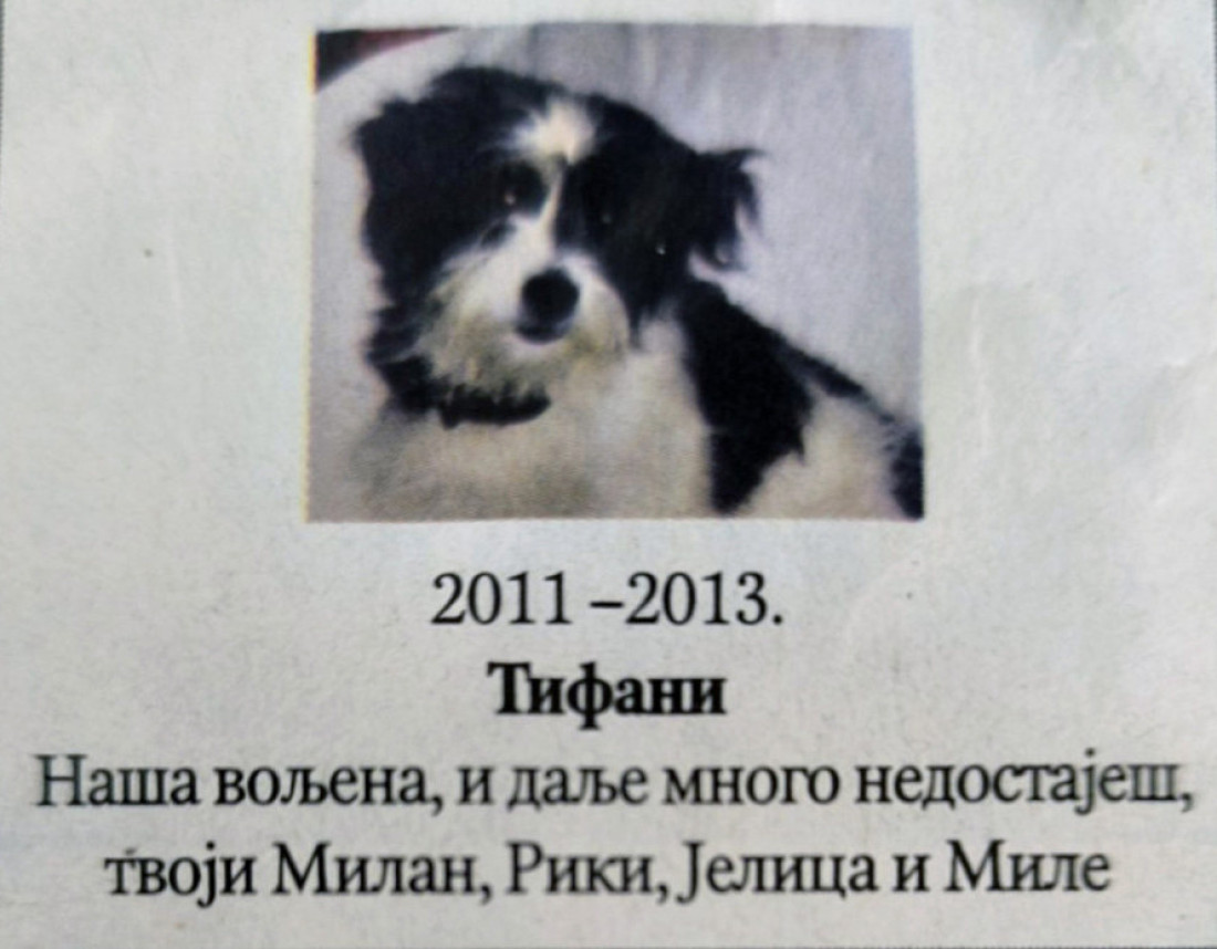 U novinama osvanule "čitulje" za kućne ljubimce! Poslednji pozdrav za Megi, Mimu, Saru i Tifani (FOTO)