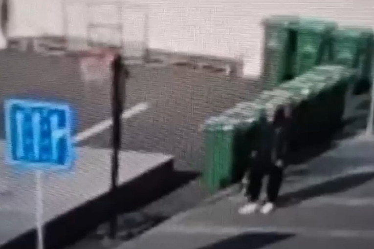 Nikad niste videli ništa slično! Riba čudne glave koja podseća na psa ulovljena na Dunavu?!  (FOTO)