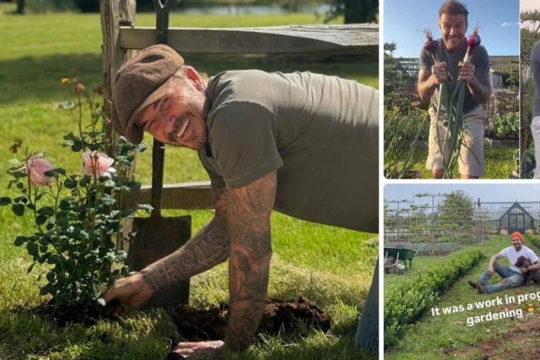 Dejvid Bekam pokazao plodove sopstvenog rada: Slavni fudbaler uživa u bašti kao običan čovek (VIDEO)