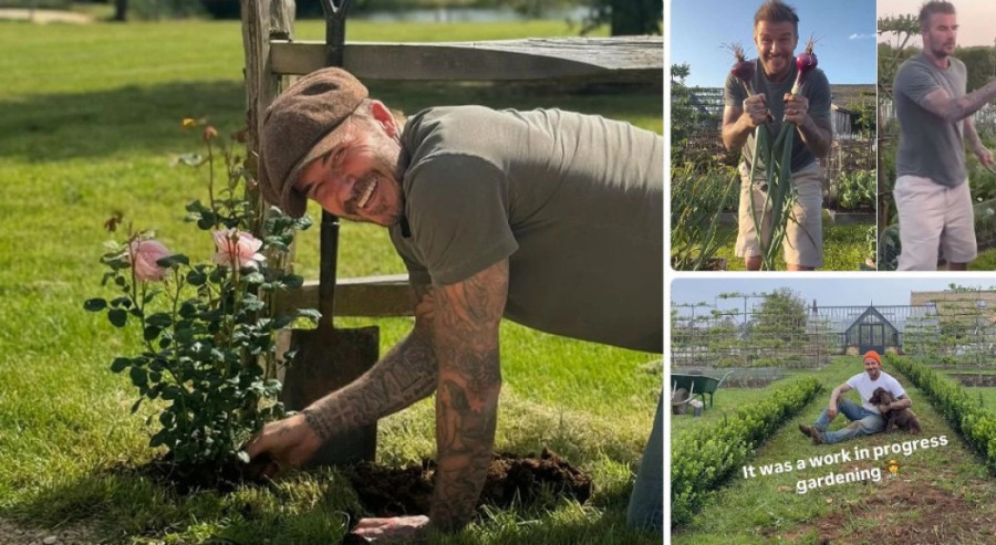 Loša Zvezda grešila i grešila, a Braga koristila i ostala maksimalna: Prvak Srbije i dalje ne zna za pobedu u Ligi Evrope (FOTO/VIDEO)