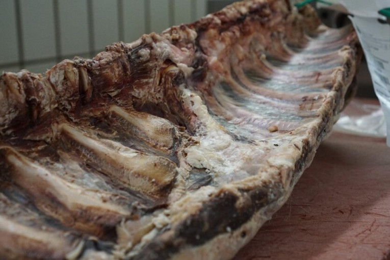 Odvratno! Inspekcija pronašla crve u mesu, odmah naređeno povlačenje proizvoda!