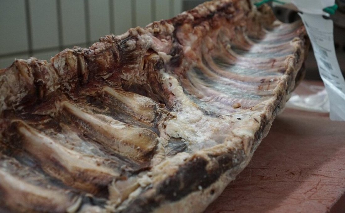 Leš u Drini! Isplivalo telo na granici sa Srbijom