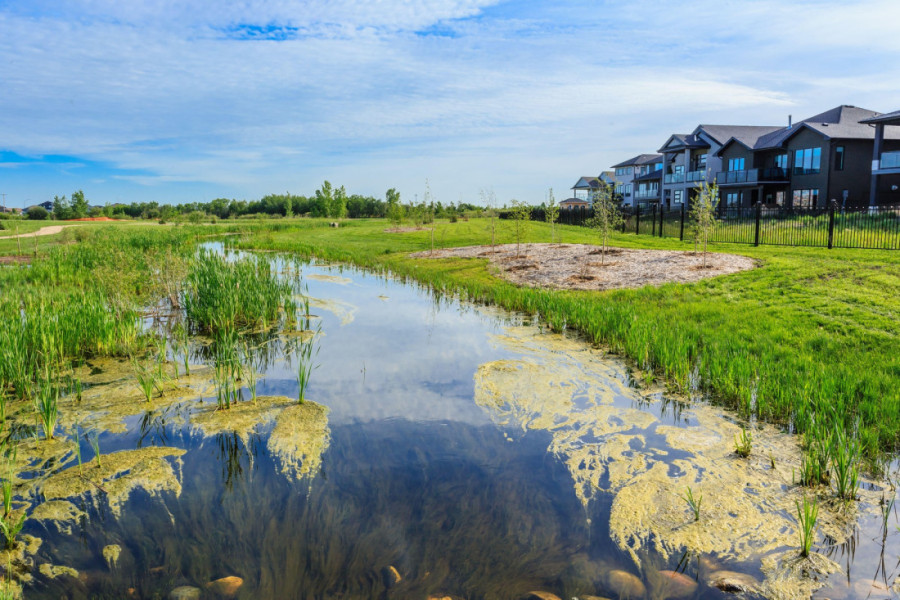 Raj u centru Zrenjanina: Kuća sa sopstvenim jezerom, bazenom i parkom – a cena smešna! (GALERIJA)