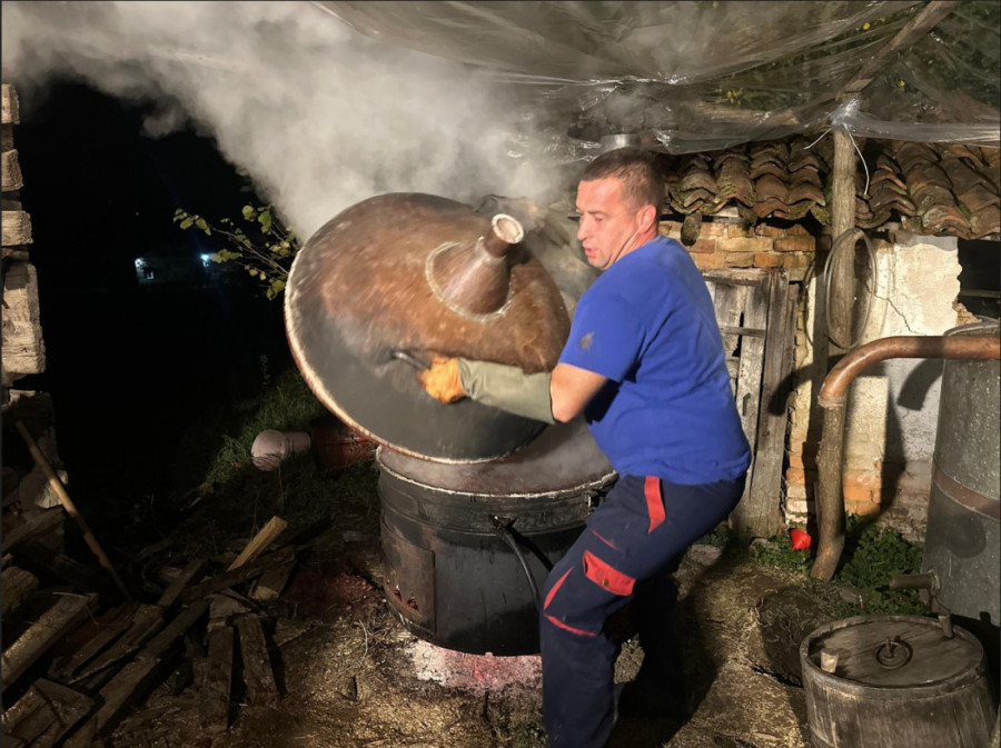 Cveta voće kad mu vreme nije, a mrazevi sve desetkuju: Aleksandar od 20 tona ubrao samo 20 kilograma kajsija!