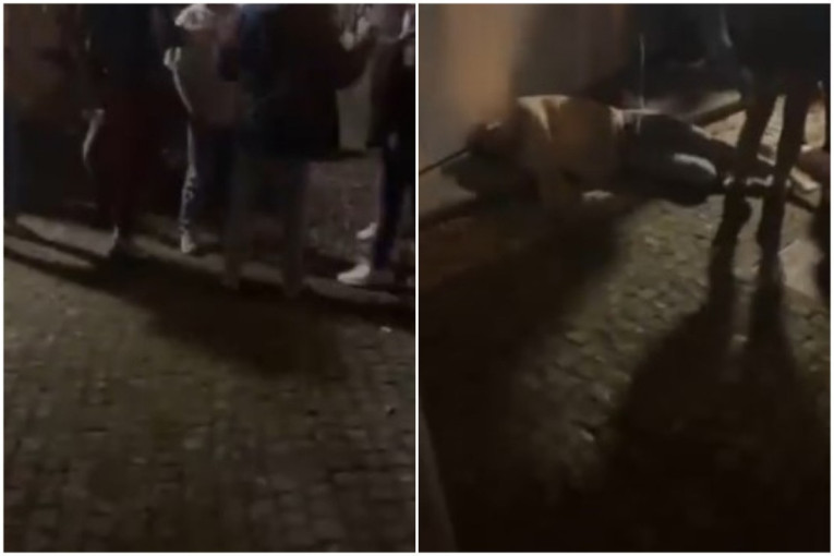 Osnovano Rusko istorijsko društvo u Srbiji! Vulin: Borimo se protiv revizije istorije (FOTO)