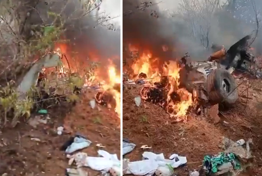 U Černobilju snimljeni neobični psi: I stučnjaci šokirani izgledom, ne znaju šta im se desilo (VIDEO/FOTO)