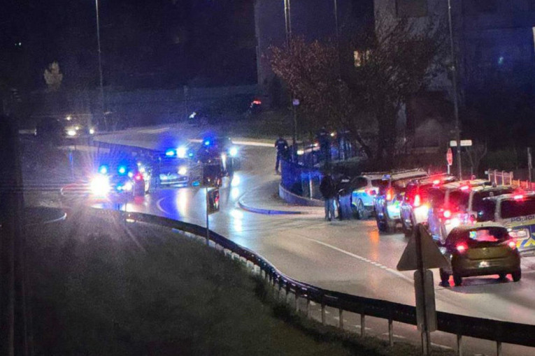 Digli se i Slovenci! Stop ciganskom nasilju (VIDEO)