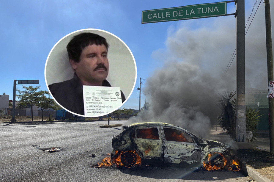 "Evropa nije zdravo okruženje za moju decu": Tiktokerka se iz Danske u suzama vratila u Siriju zbog zastave sa duginim bojama (VIDEO)