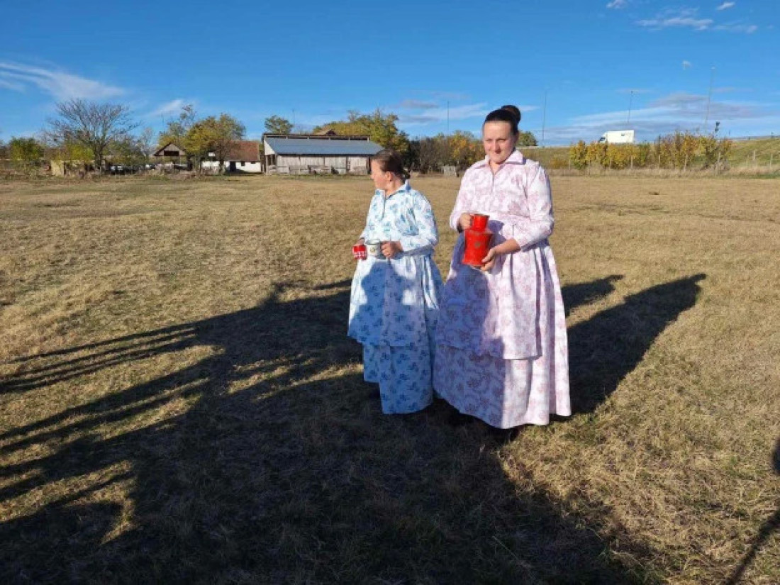 Čudo u Subotici! Oživeli konji i plug, vraća se čuveni bankutu (FOTO)