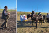 Čudo u Subotici! Oživeli konji i plug, vraća se čuveni bankutu (FOTO)