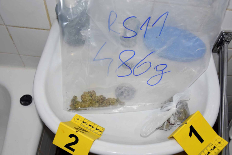 Sećate se vatrene brinete koja je tukla vozača tramvaja? Sad je uhapšen u akciji "Sparta", i to kao šefica za "belo"