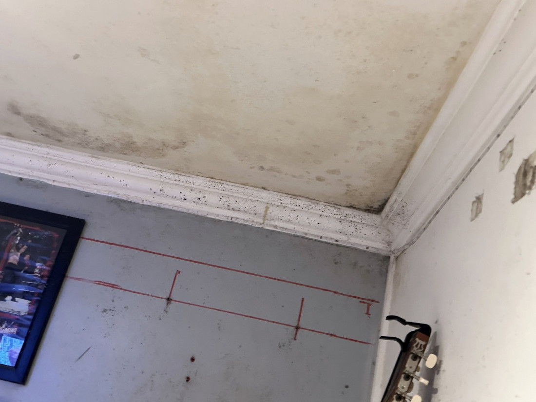 Špajz za 25.000 evra! Internet se smeje novom “čudu” tržišta nekretnina u Novom Sadu