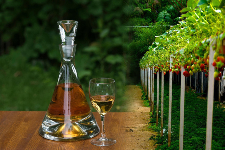 Ovo još niste probali! Hit piće iz sremske destilerije (FOTO)