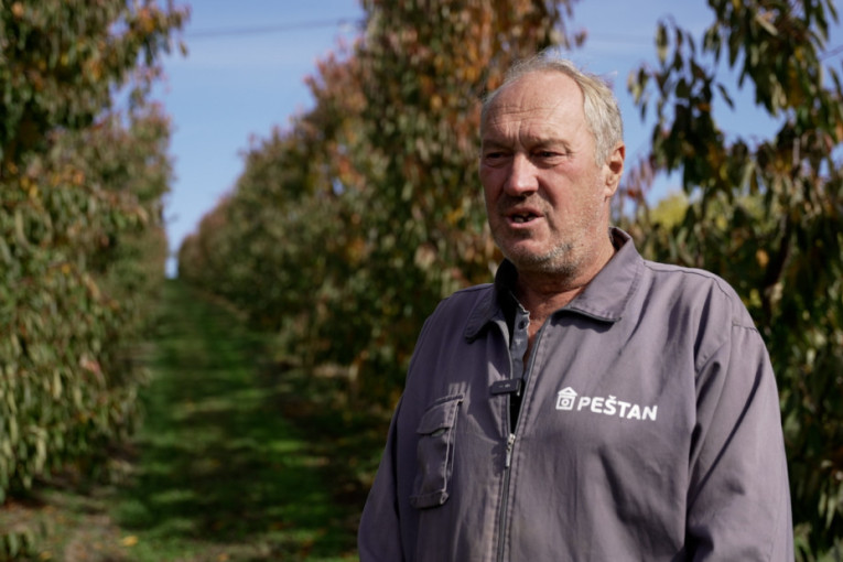 Velike vrućine i velike muke: Nije isto bilo raditi leti pre 20 godina i sada, Darko zbog klimatskih promena ima sve manje prinosa
