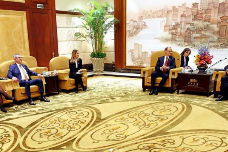 Mesarović: Uskoro "Dani Srbije" u Šangaju