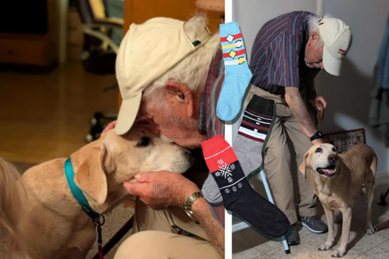 Zašto nikada ne treba ostavljati decu sa kucom bez nadzora: Znakovi upozorenja koje svaki roditelj treba da prepozna kod psa