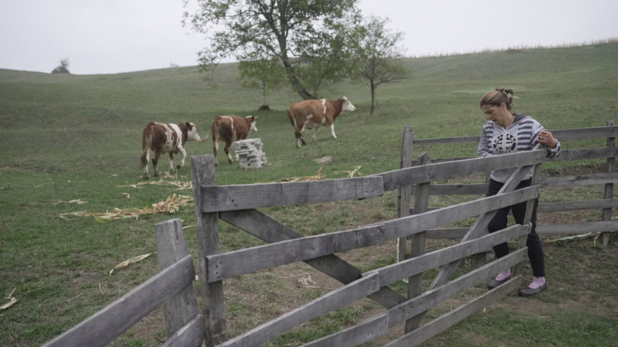 Mnogi beže sa sela, ali ne i Svetlana: Kad je postalo teško, bacila se u proizvodnju, evo šta pravi na svom imanju! (FOTO)