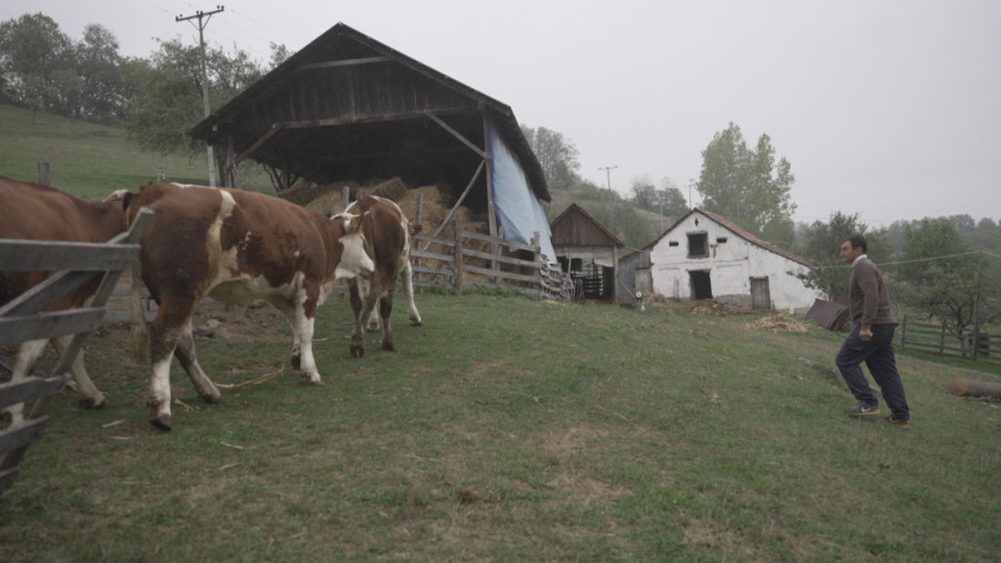 Mnogi beže sa sela, ali ne i Svetlana: Kad je postalo teško, bacila se u proizvodnju, evo šta pravi na svom imanju! (FOTO)
