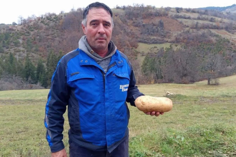 "Nisam verovao svojim očima" Zoran iz Kućana izvadio krompir težak skoro dva kilograma!