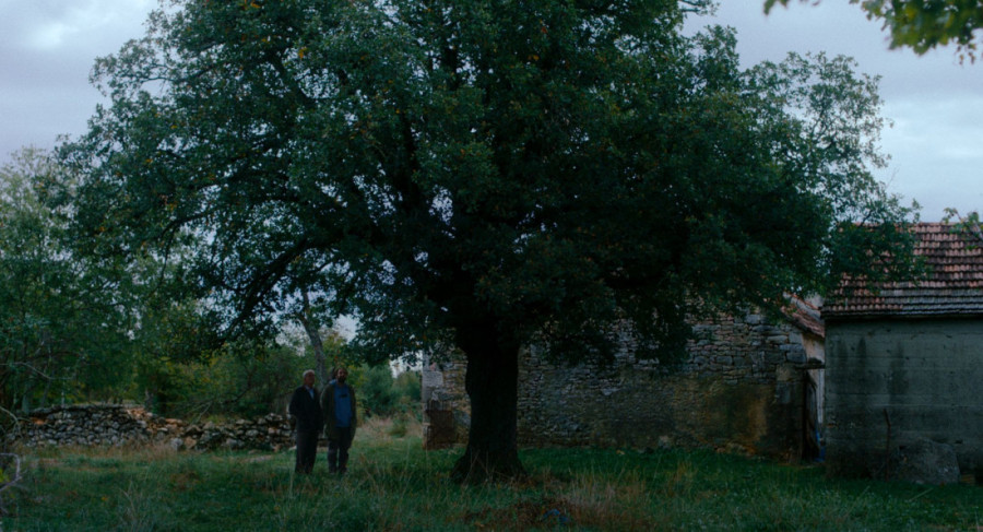 U susret 31. Festivalu autorskog filma: Ovo su prvi detalji (FOTO)