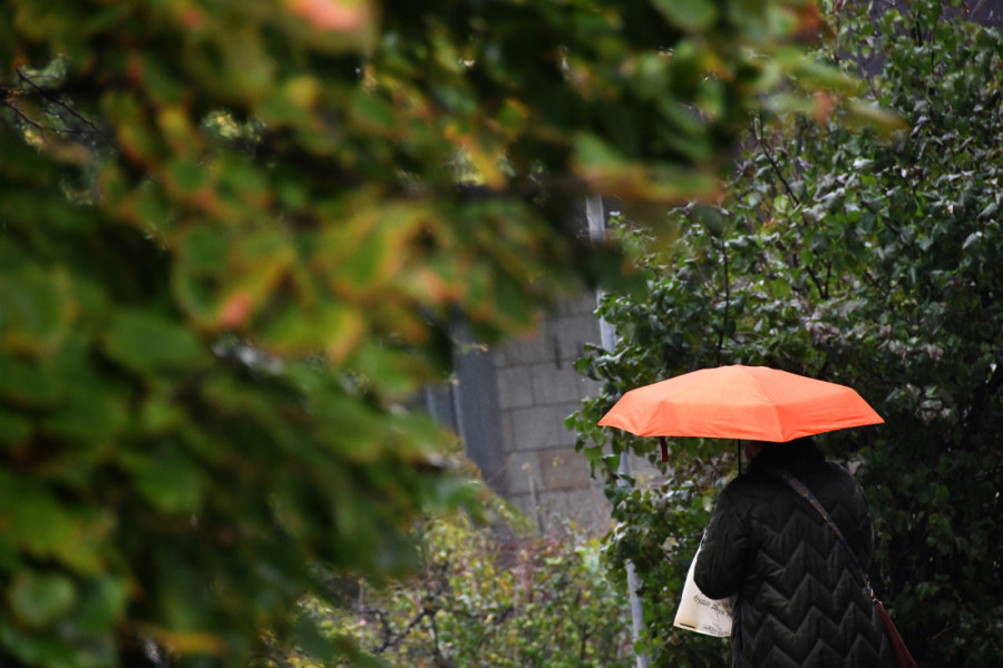 Sir u Srbiji postaje luksuz: Cene skočile, evo koliko košta kilogram!