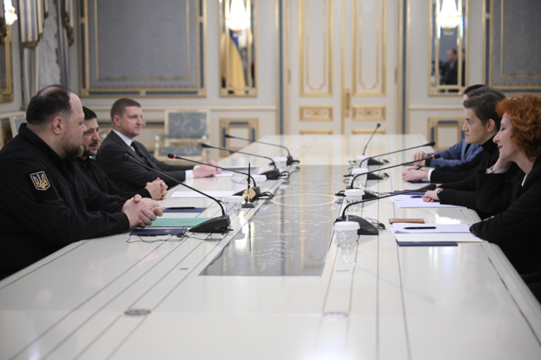 Zelenski nakon sastanka sa Brnabić: Glavni fokus razgovora proces evrointegracija